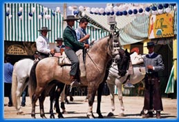 Caballos en la Feria de Tarifa