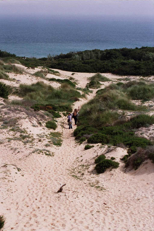 benavides-surf-windtarifa