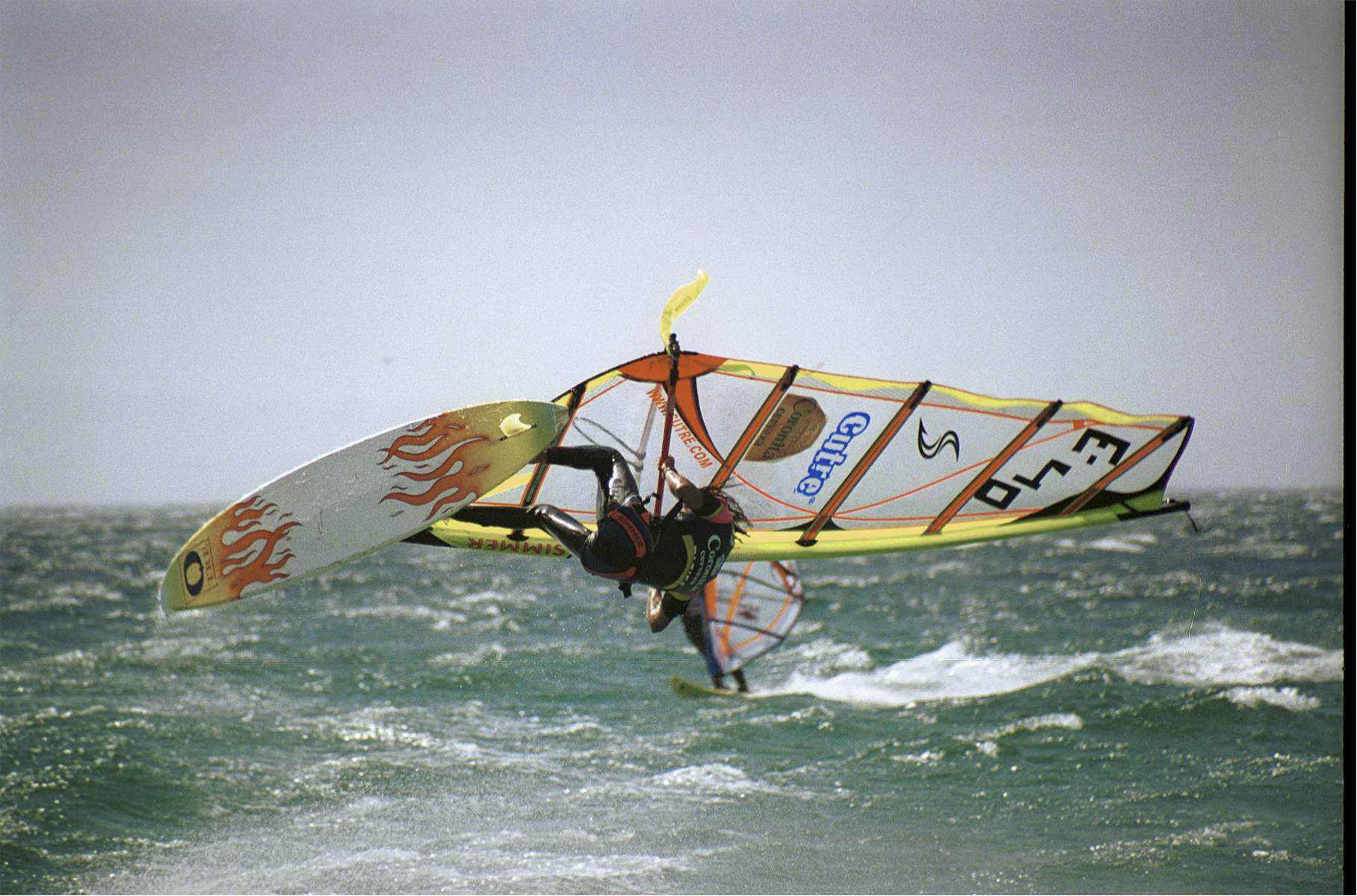 Torofree2002a