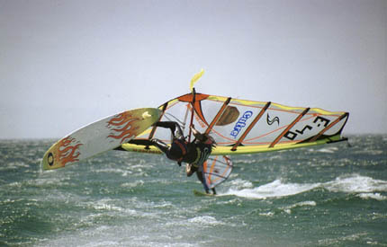 Torofree2002p