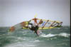 Torofree2002a
