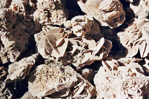 rodadeldesierto