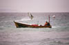 sport-fishing-tarifa